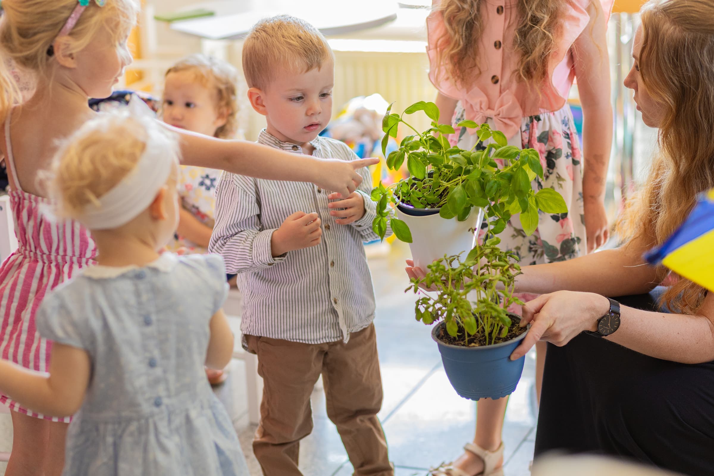 Kleine Kinder bestaunen Kräuterpflanzen im Kinderprogramm